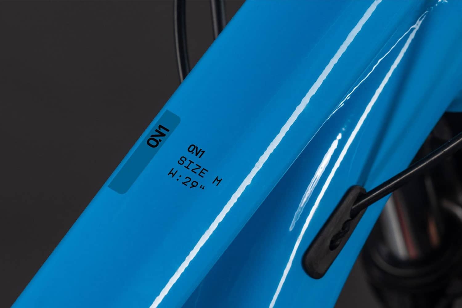 marlinblue´n´reflex  