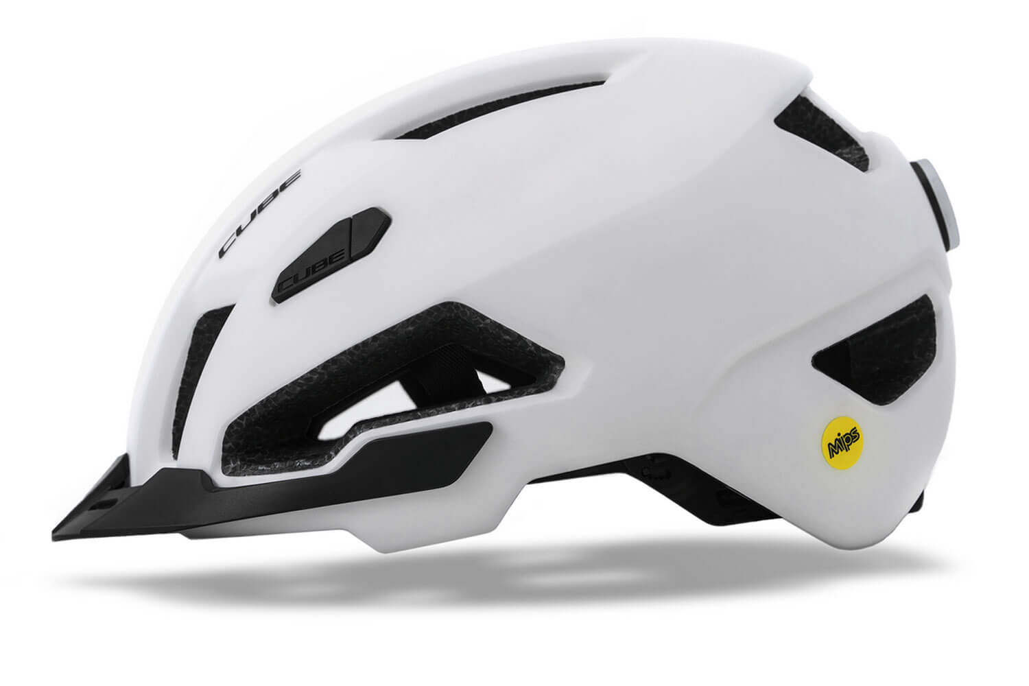 Cube Evoy Hybrid